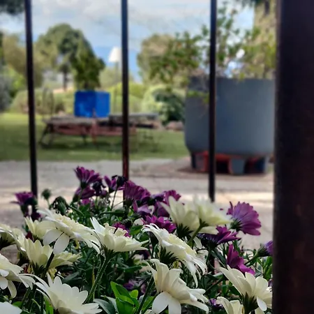 Le Roc E Fiori - Les Collectionneurs Hotel