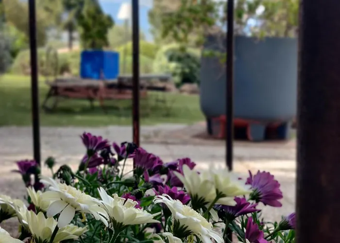 Le Roc E Fiori - Teritoria Hotel